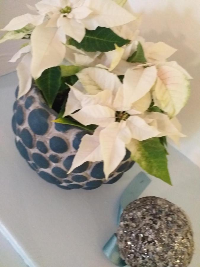 Appartement met 1 Slaapkamer