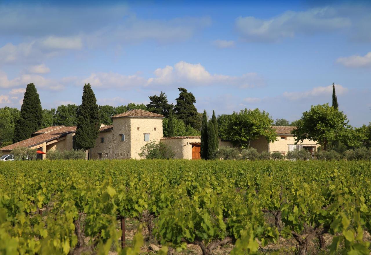 Gite des amis Domaine de Mas Caron - B&B