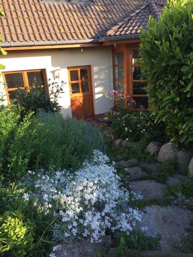 Ferienwohnung Stockrose - Bed and Breakfast
