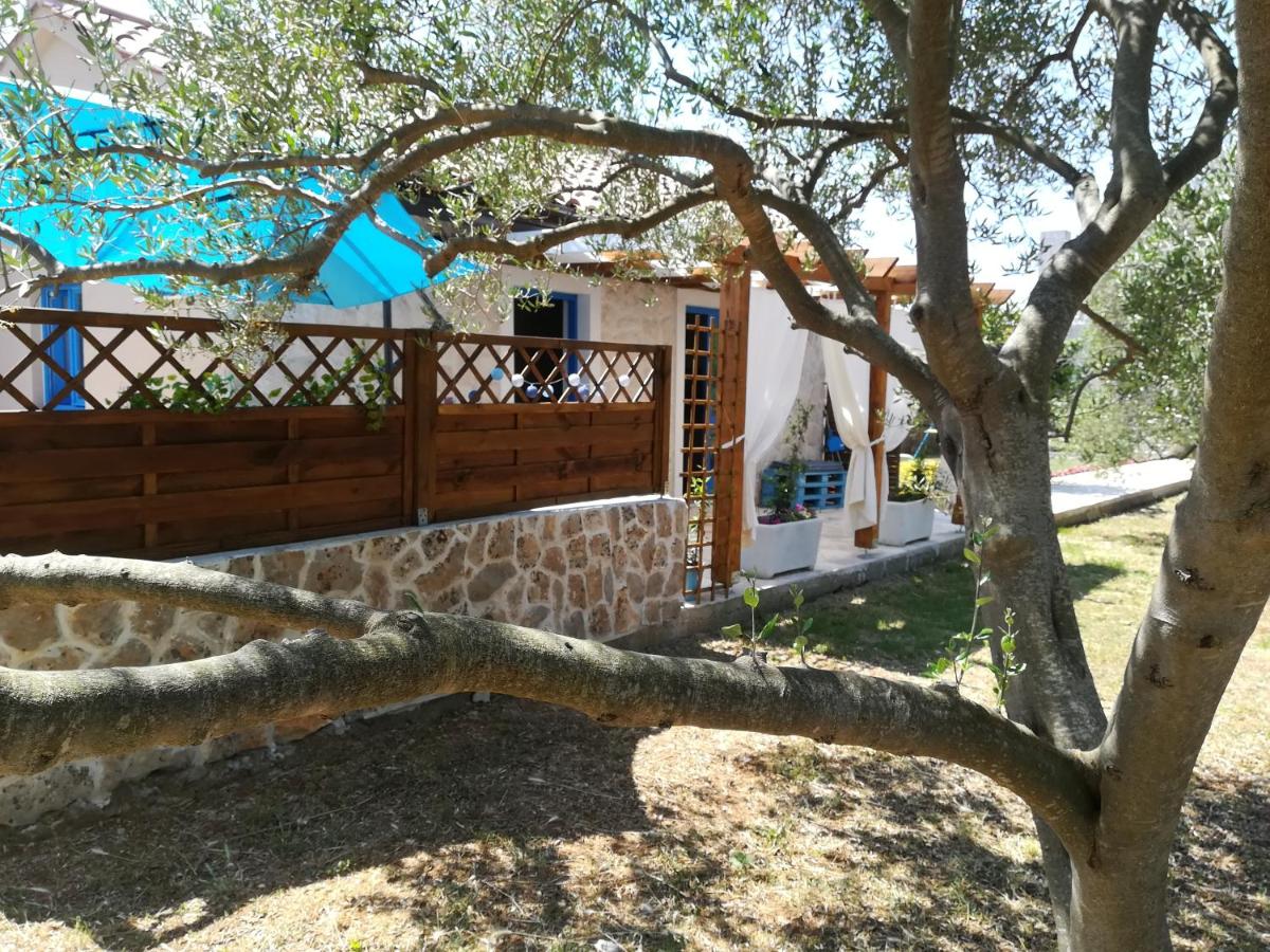 Tiny house - B&B