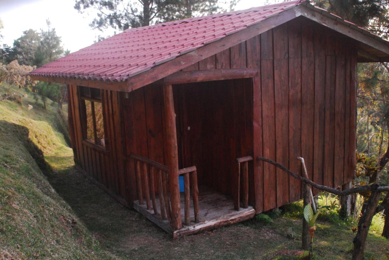 Deluxe Bungalow