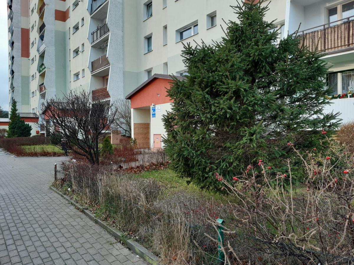 Apartamencik w centrum - B&B