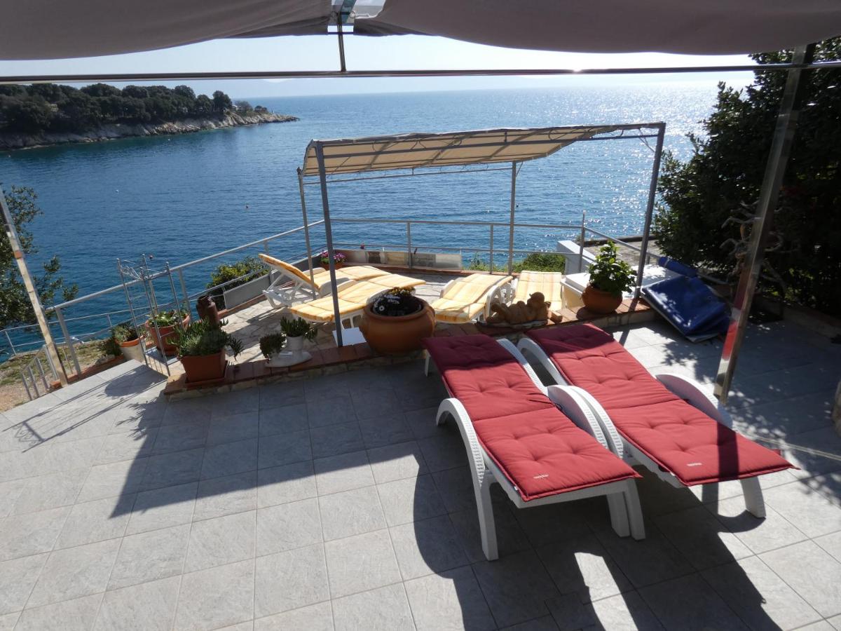 Bodo Apartment - B&B