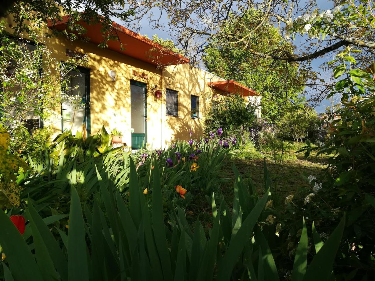 Casa Das Palmeiras-Pedagogic Farm - B&B
