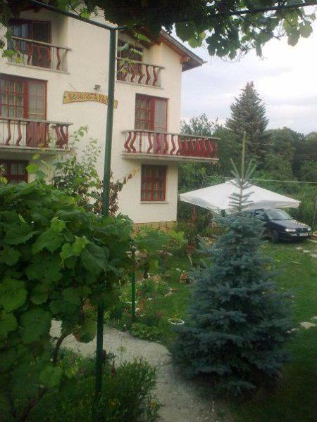Veselata Guest House - B&B Dolna Banya
