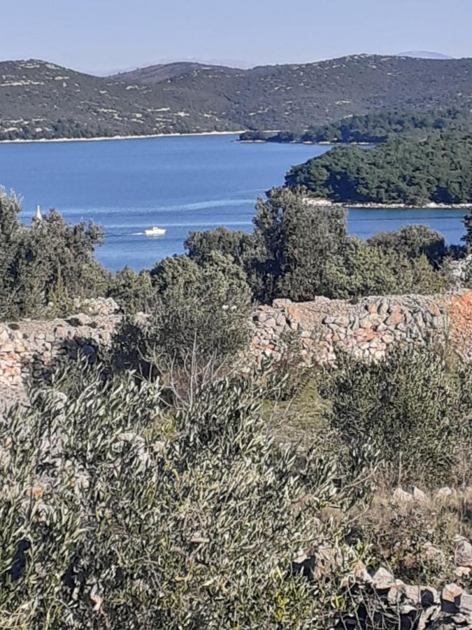 Villa Palfi - B&B Jezera