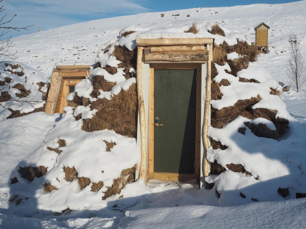 Modern turf house - B&B Kokelv