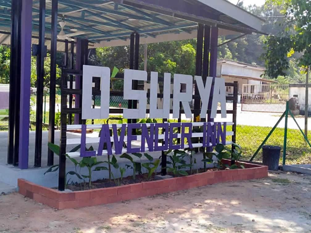D' Surya Lavender Inn - Bed and Breakfast
