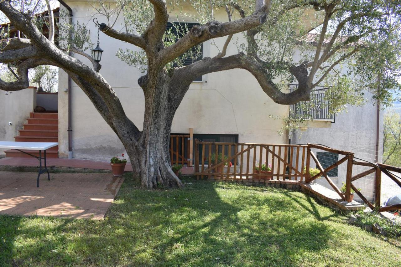Barnìa - B&B Ascea