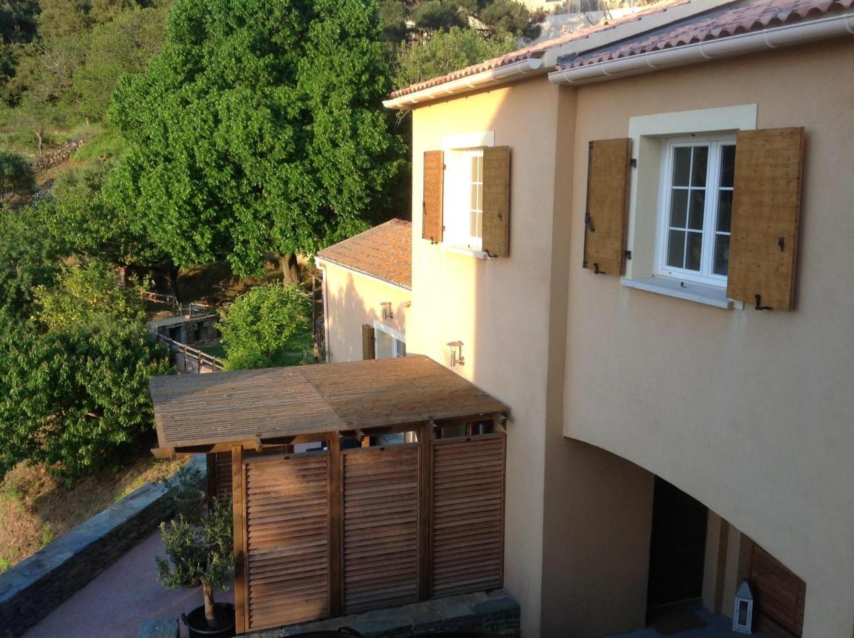 Maison 4 Pers - Vue mer et vignoble exceptionnelle - B&B Poggio-d'Oletta