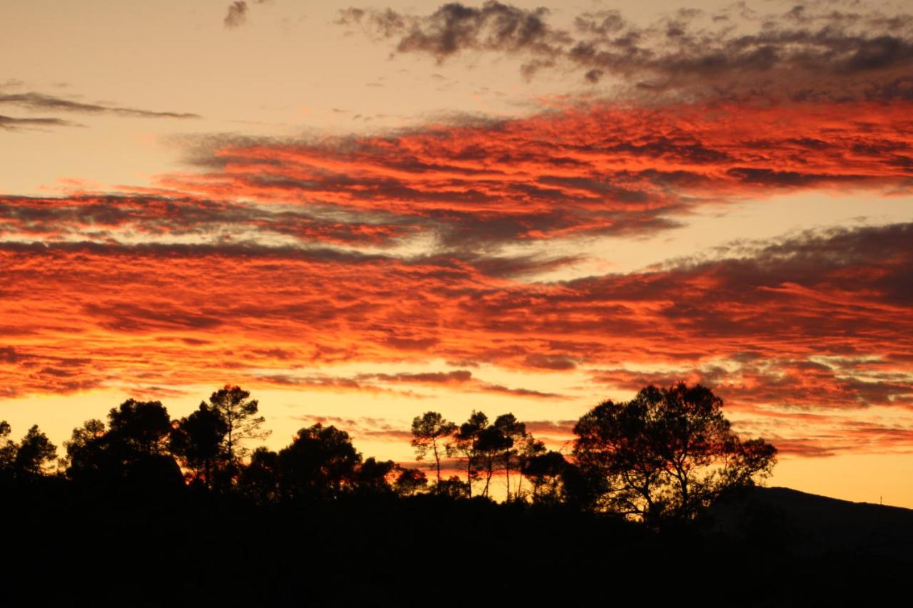 Habitación Doble con vistas al jardín - 2 camas