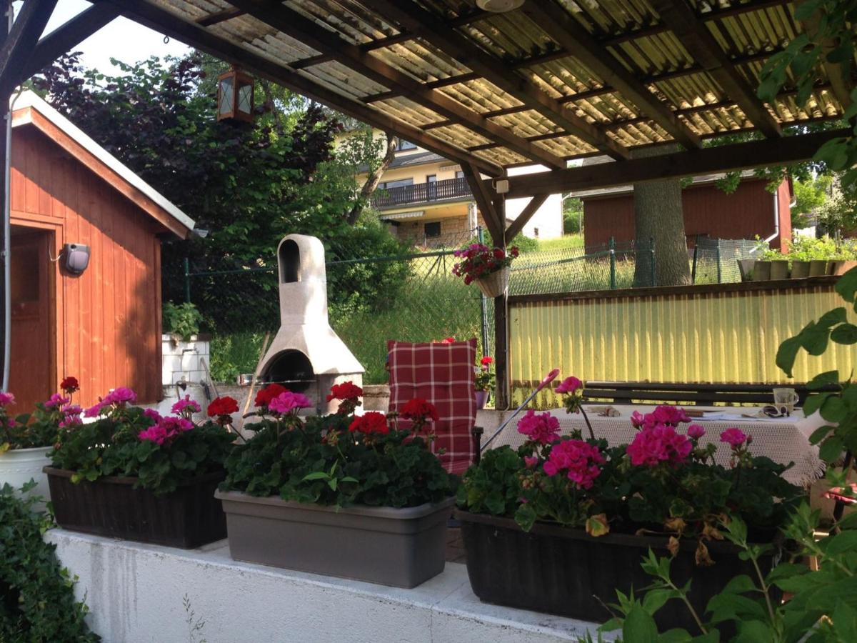 am Balkon des Erzgebirges - Ferienwohnung