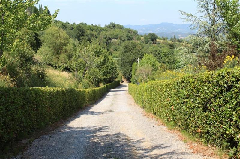 Villa Balducci - B&B