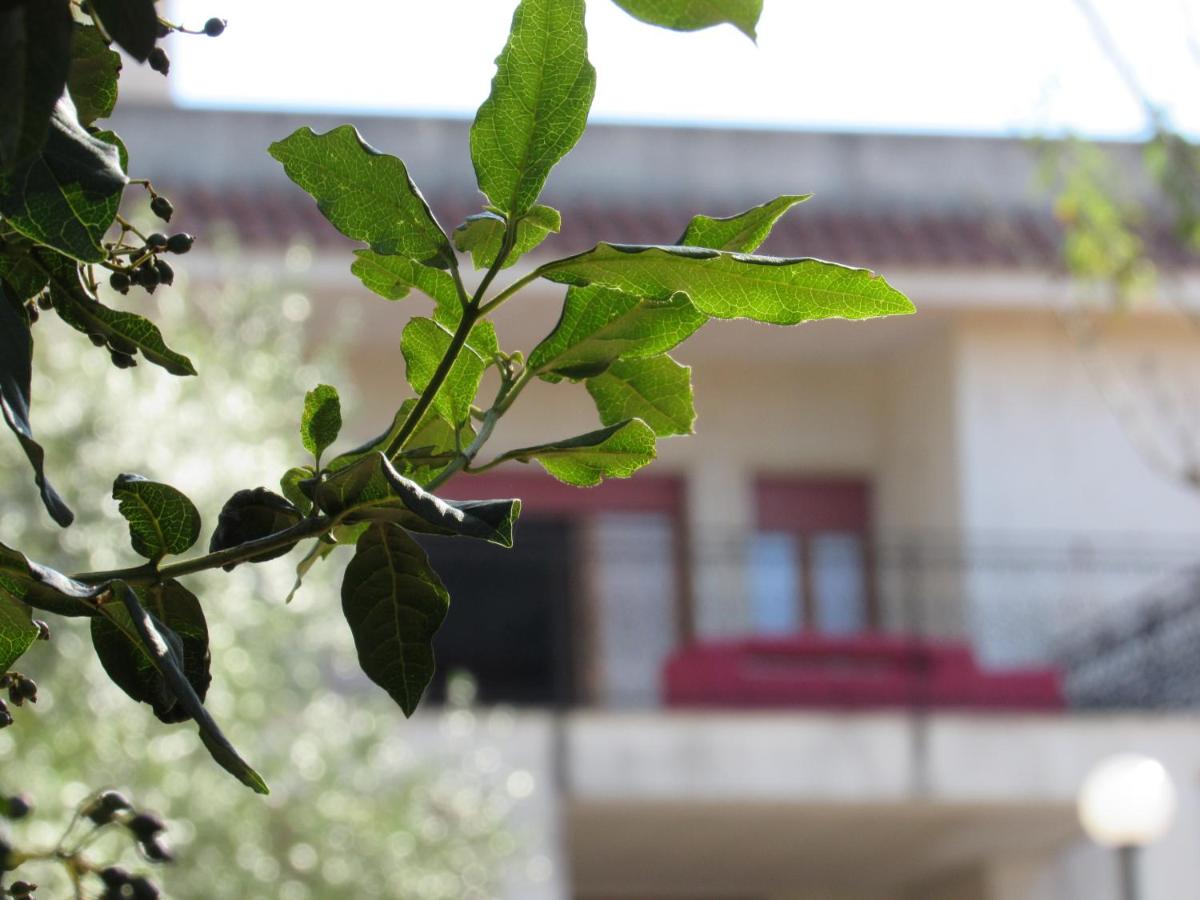 Villa Il Giovane Alloro - B&B