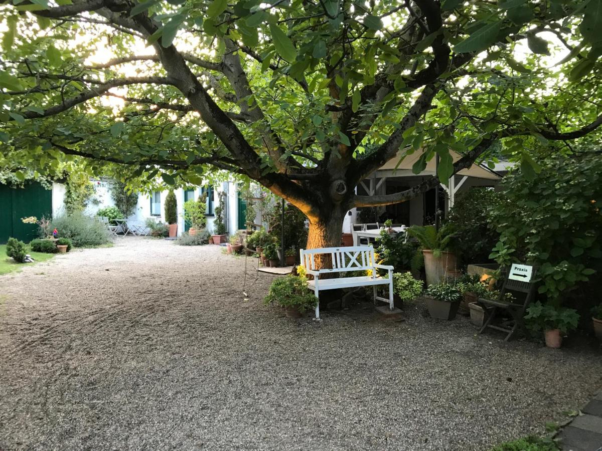 Appartement - Rez-de-Chaussée