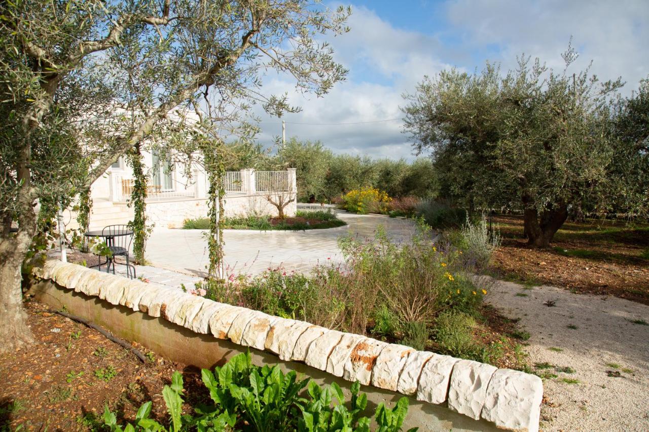 Trullo dei maestri - B&B Locorotondo