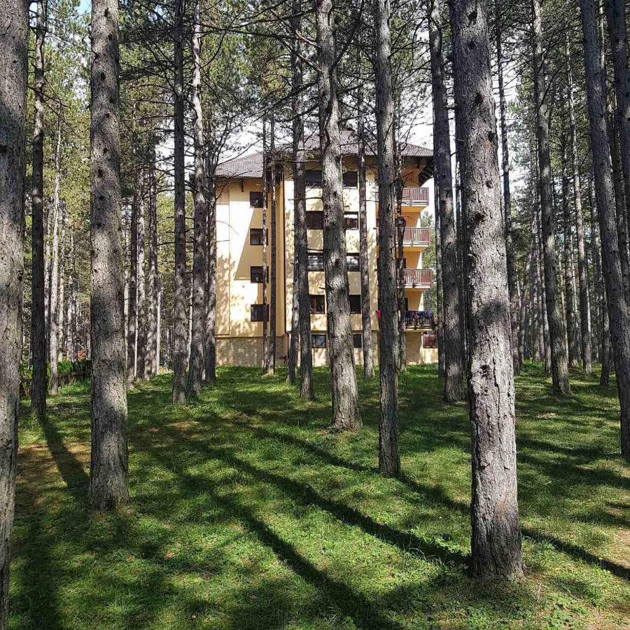 Sani - Ferienwohnung Zlatibor