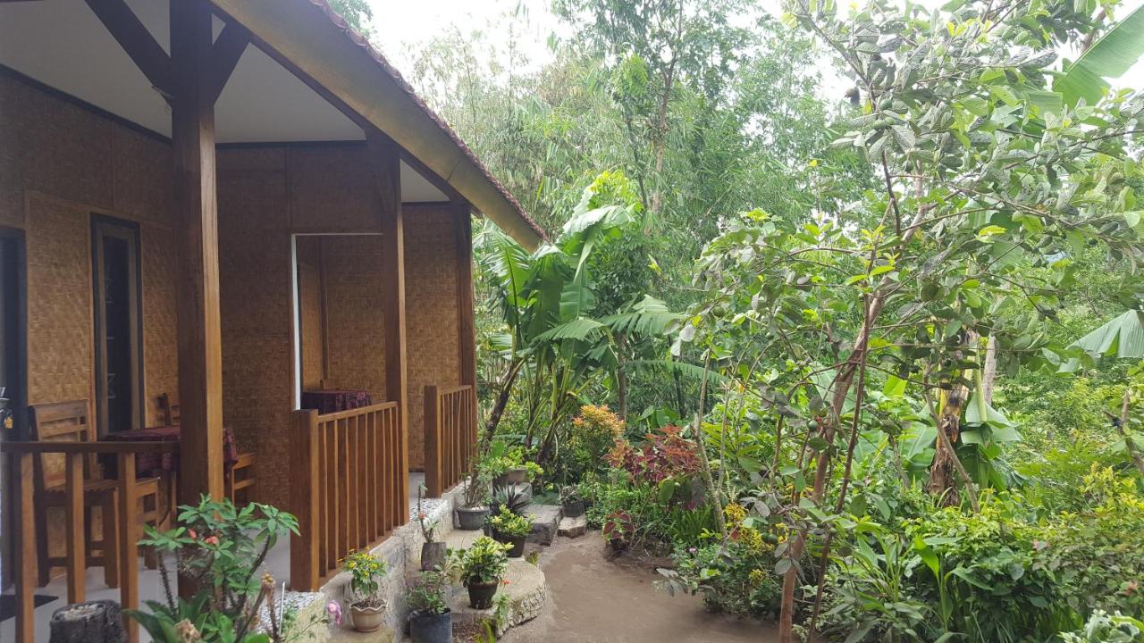 B&B Tetebatu - Tetebatu Indah Homestay - Bed and Breakfast Tetebatu