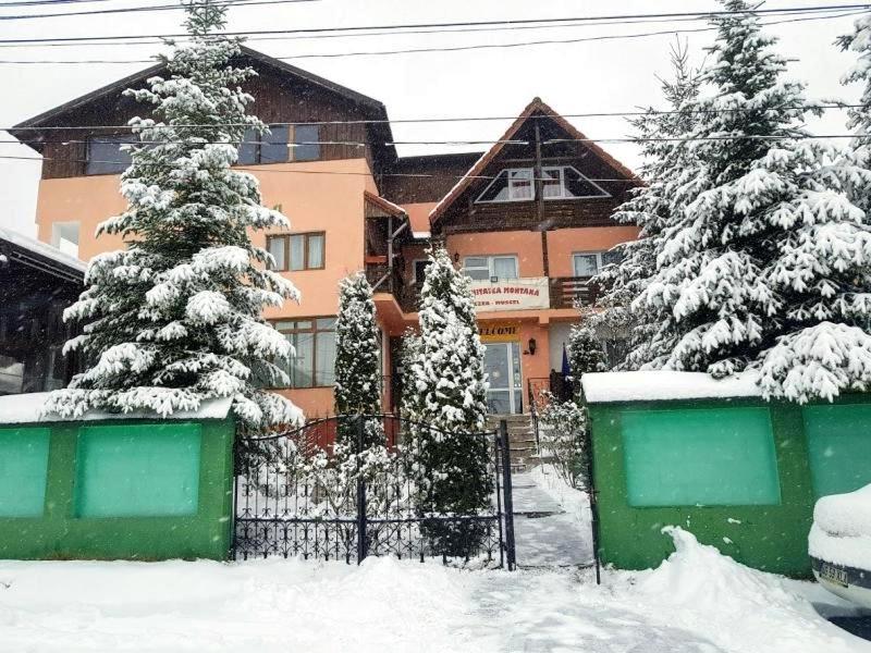 Pensiunea Agroturistică Piscul Soarelui - B&B