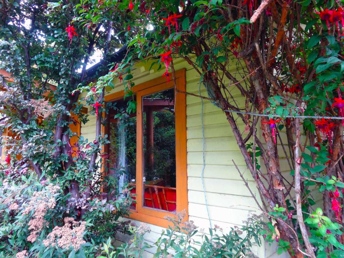 Guest House MiLinco - Ala Maison - Bed and Breakfast
