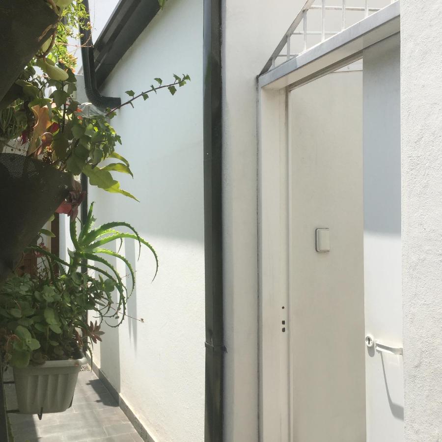 Dos Patios - Luz, tranquilidad y verde - Chambres d’hôtes La Plata