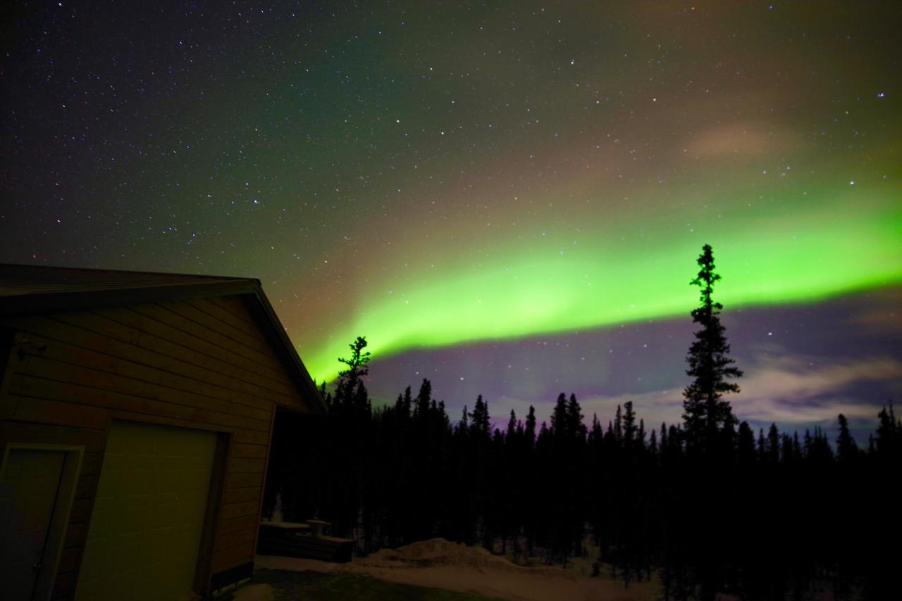Denali Wild Stay - Moose Cabin, Free Wifi, 2 private bedrooms, sleep 6 - Chambres d'hôtes Healy