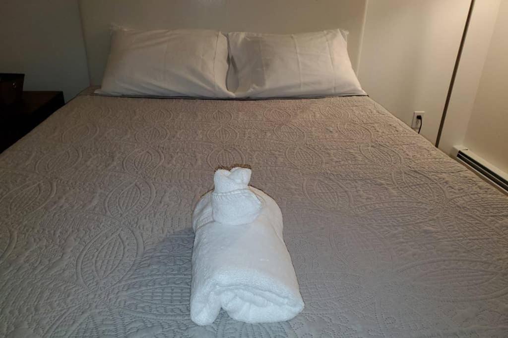 Webster Hill Suites - Inviting Comfort with Office Essentials - B&B
