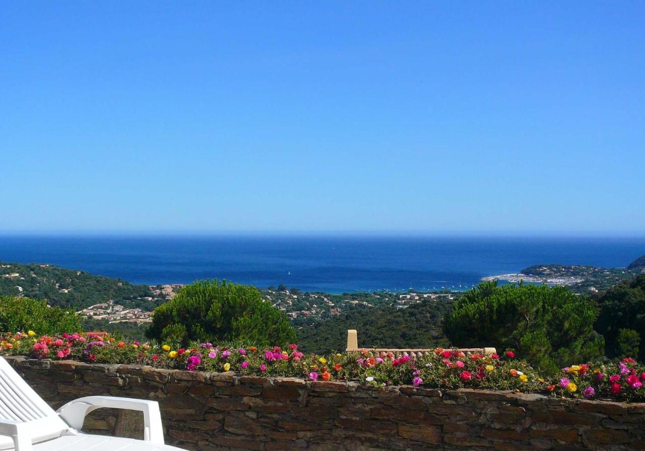 B&B Cavalaire-sur-Mer - Villa Les Albizias - Bed and Breakfast Cavalaire-sur-Mer