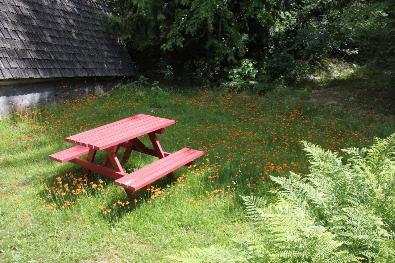 Sunny Bluffs Chalets - B&B