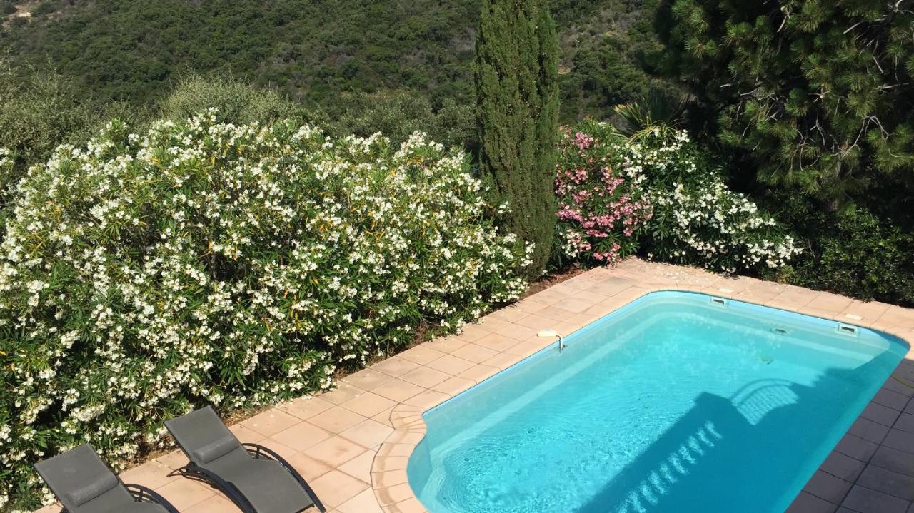 Belle et grande villa - B&B Rayol-Canadel-sur-Mer