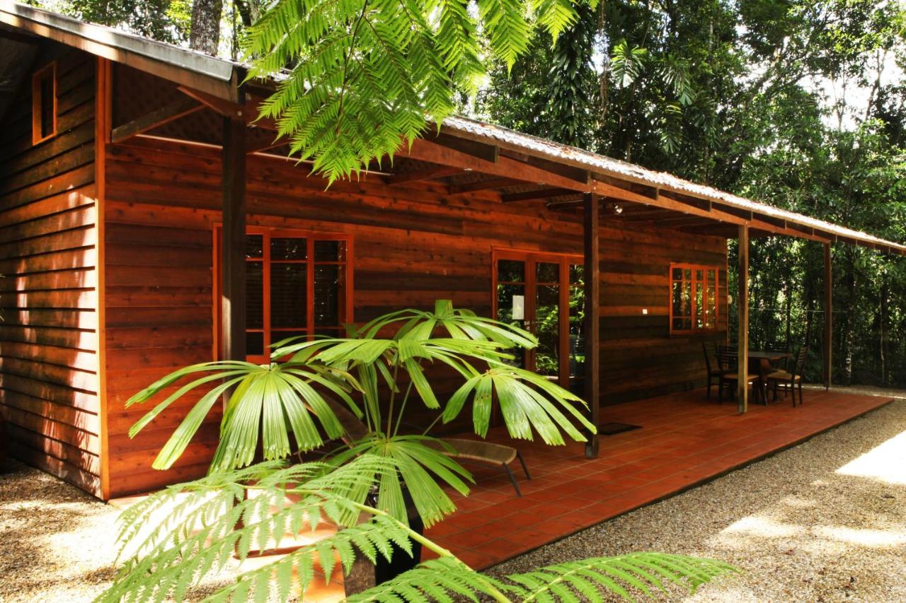 Daintree Cascades - B&B