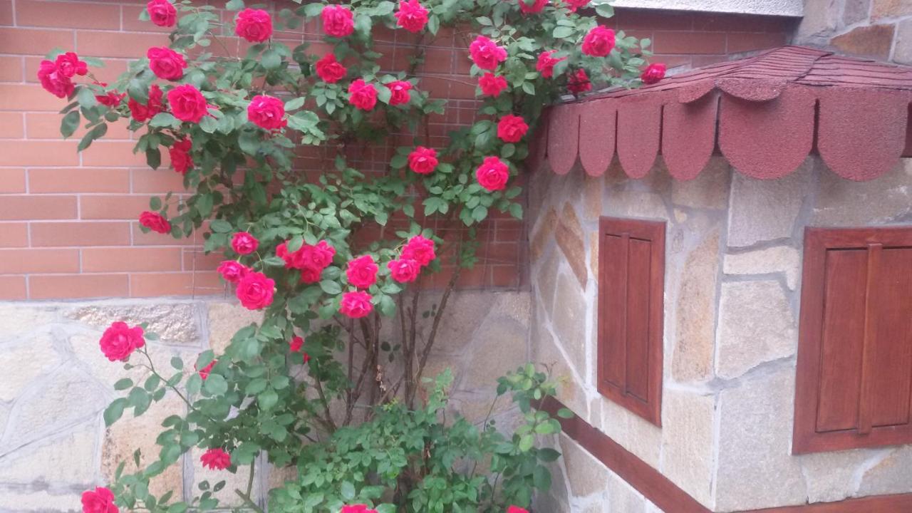 Vesi's Rooms - B&B Plovdiv