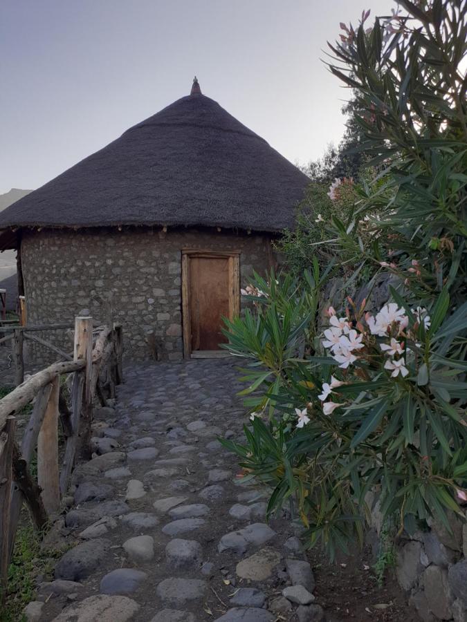 Bethan Amba ecovillage - Bed and Breakfast Lalibela
