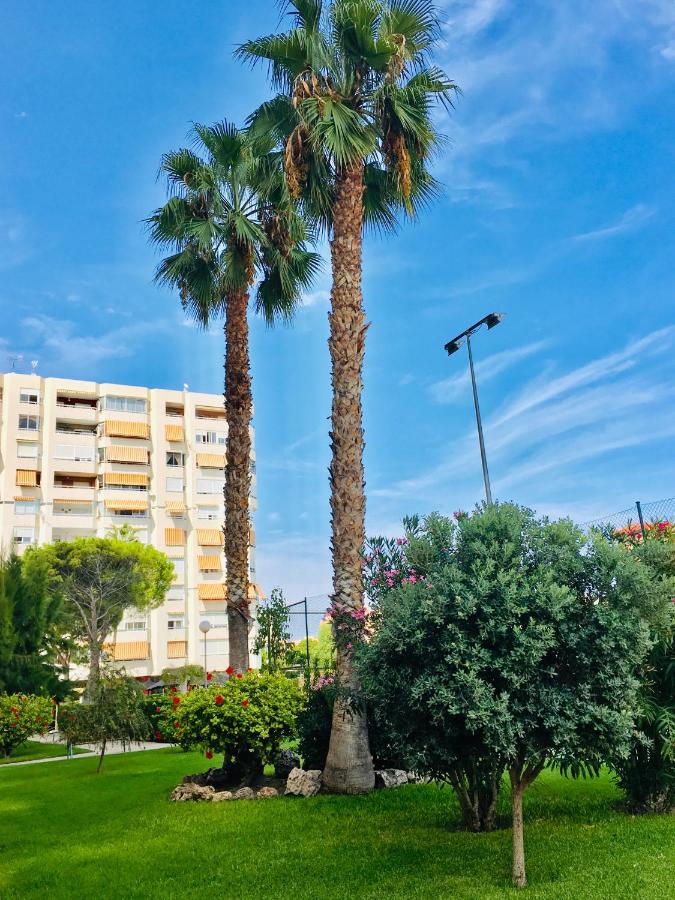 PERFECTO PAREJAS/FAMILIAS. A 500 METROS PLAYA - B&B Alicante