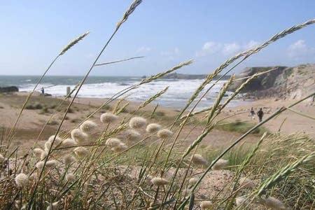 B&B Erquy - Appartement terrasse esprit loft vue sur mer - Bed and Breakfast Erquy