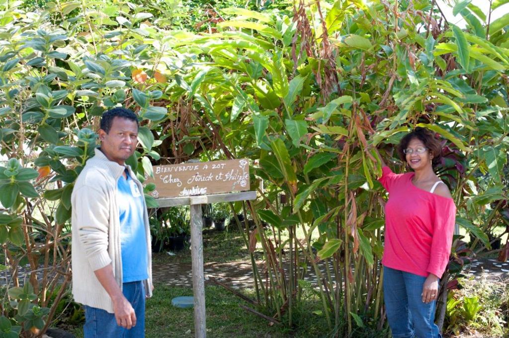 Le Ruisseau - B&B Saint-Paul