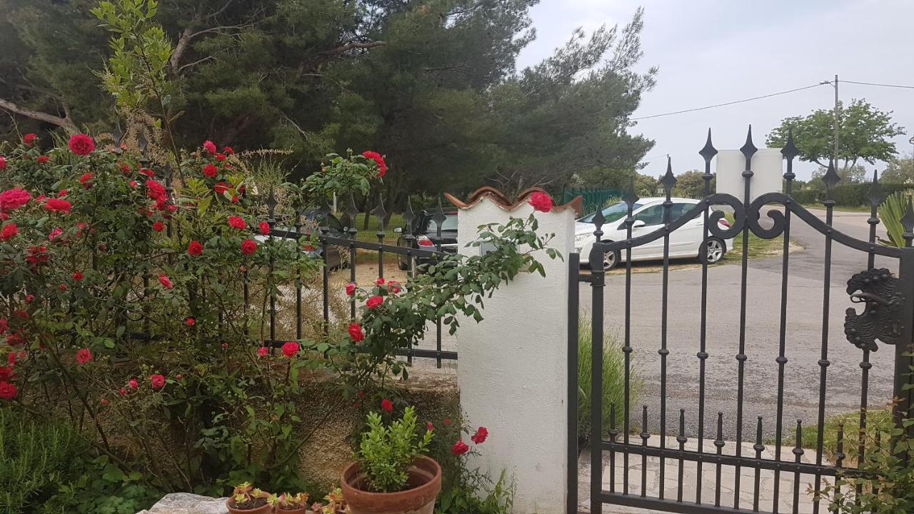 Apartments Lilly - Ferienwohnung Banjole