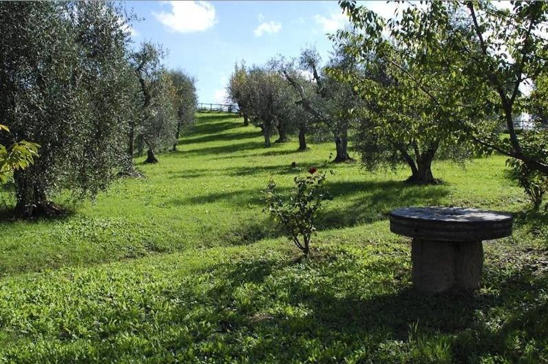 B&B San Gervasio - Villa Podere Torre - Bed and Breakfast San Gervasio