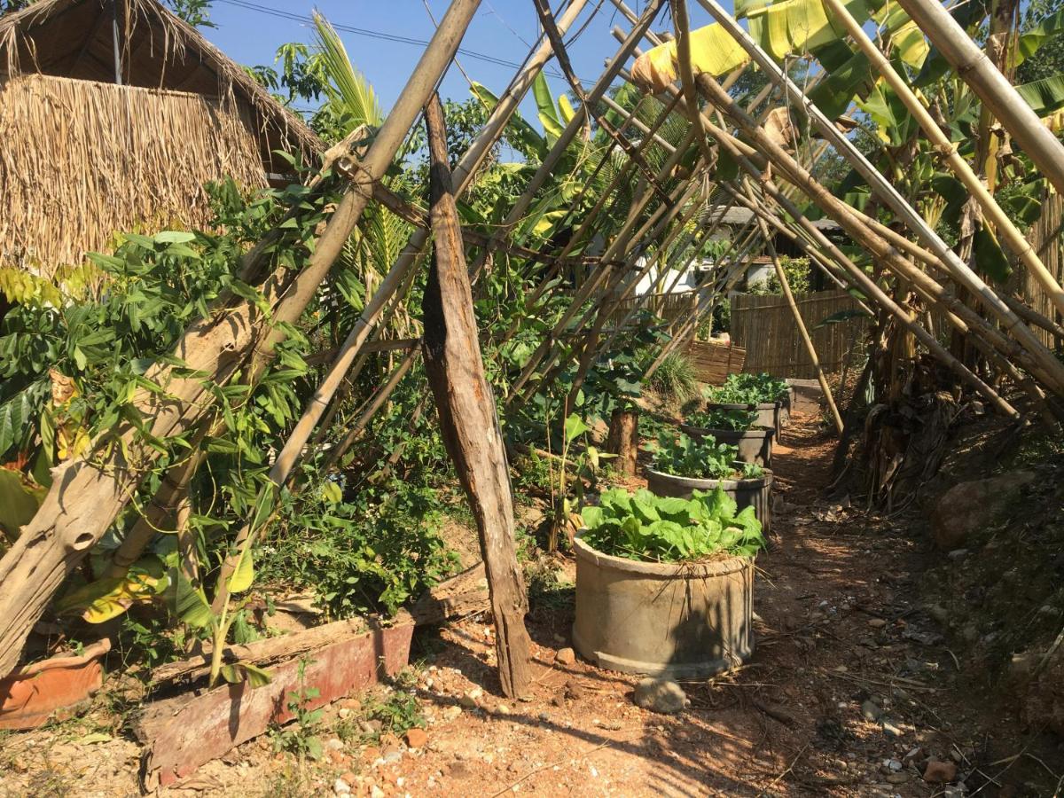 Thong Family Homestay Chiangdao - Ferienwohnung
