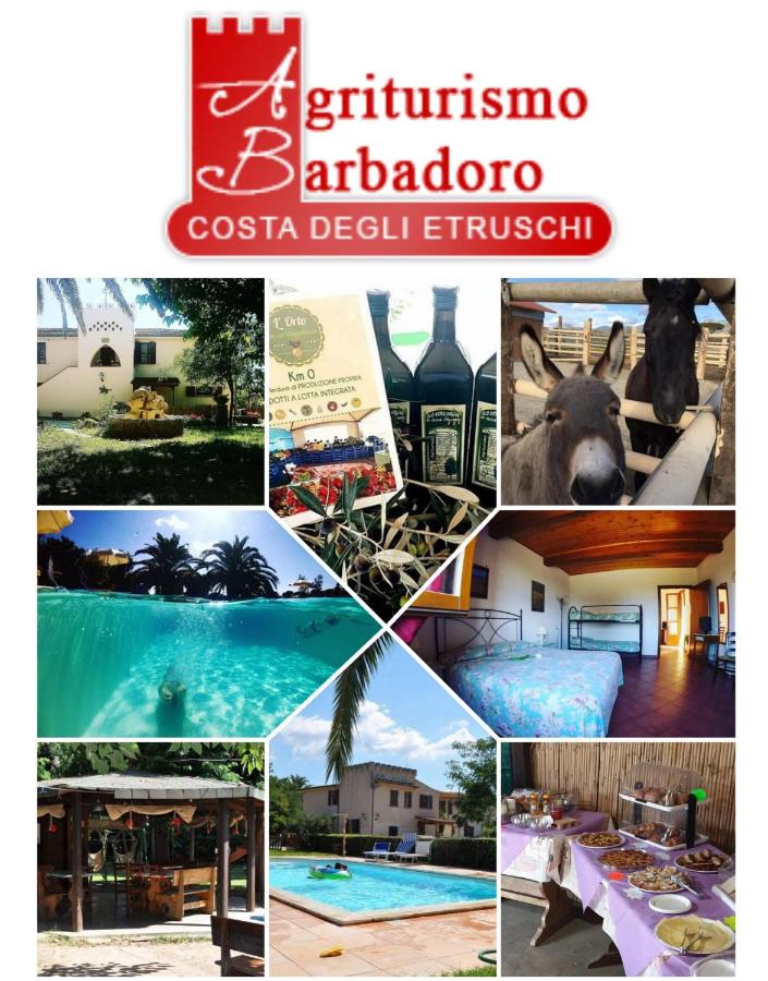 Agriturismo Barbadoro - B&B San Vincenzo