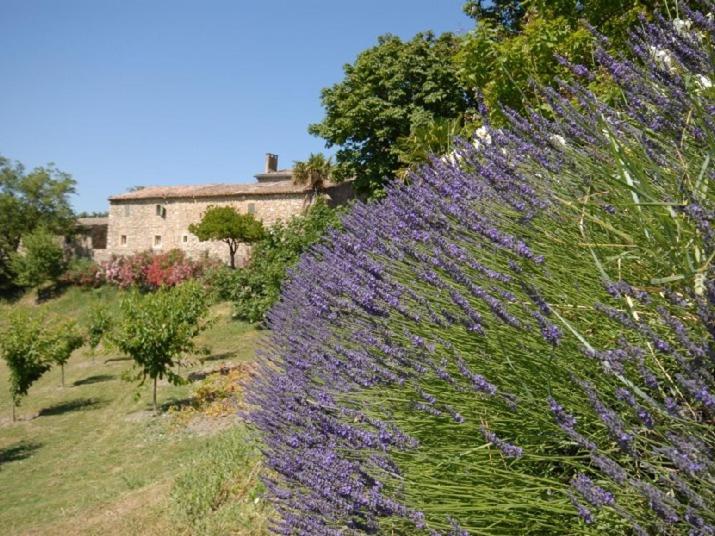 Domaine de Cousignac - B&B