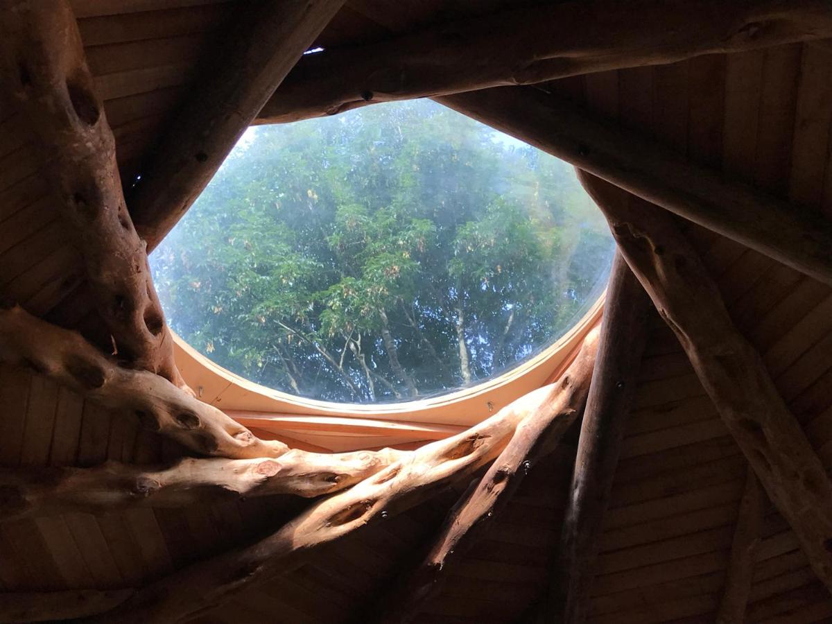 EcoRoundHouse - B&B