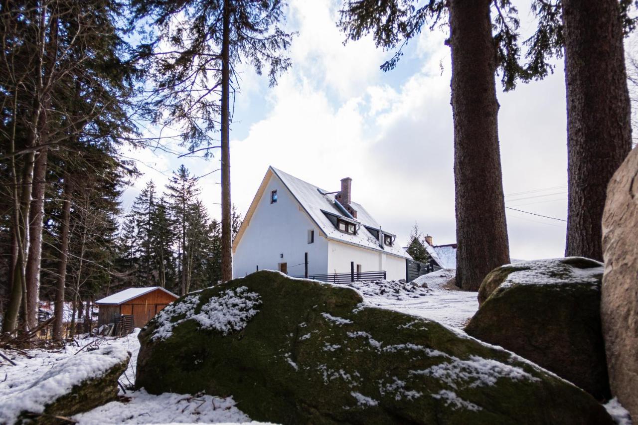 Apartamenty przy Świerku - B&B