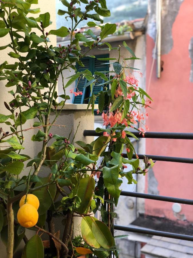 La Polena Camere Vernazza - Carattino Apartment - Ferienwohnung