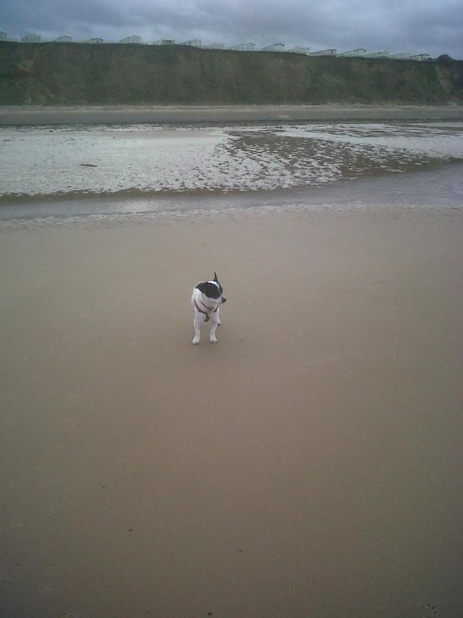 peaceholm at cromer - B&B Cromer