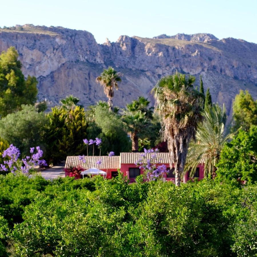 La Joya del Valle de Ricote - B&B