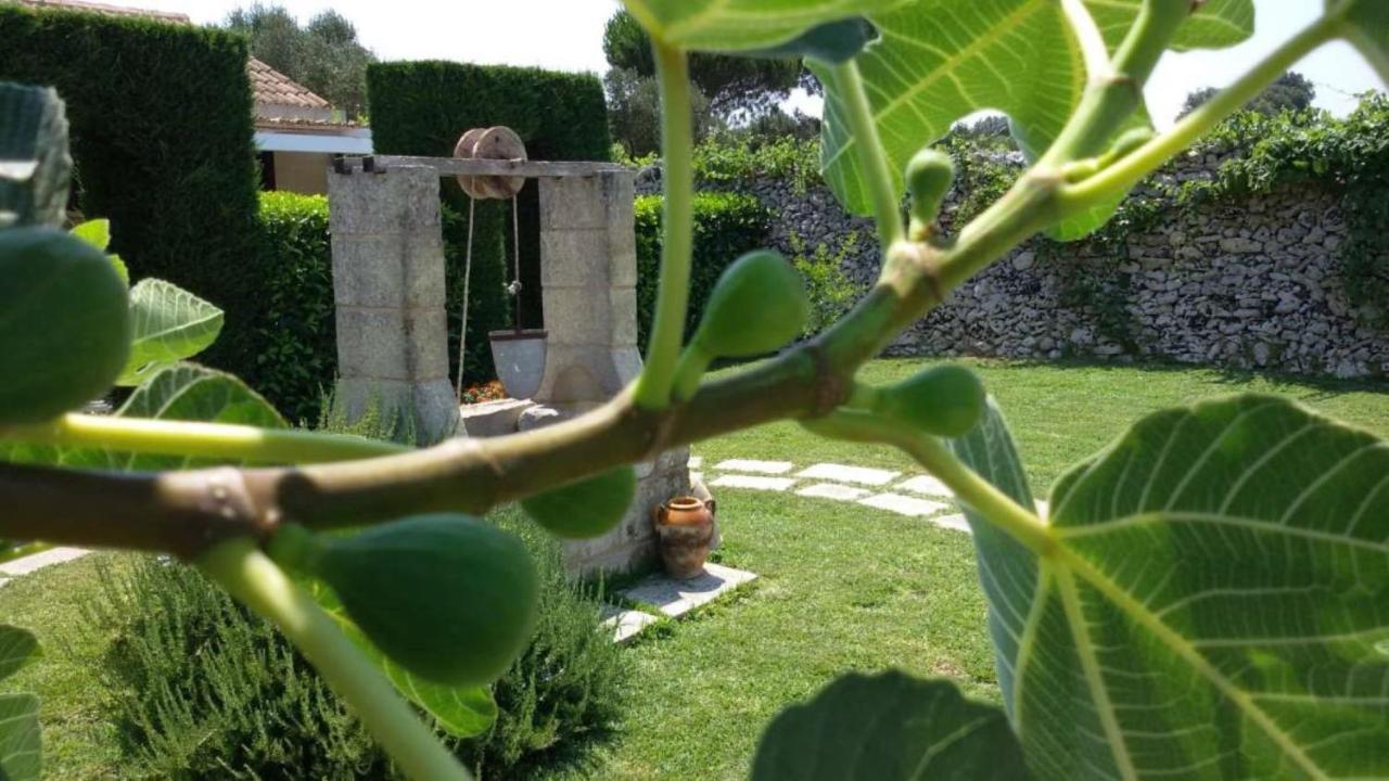 Studio with Garden View