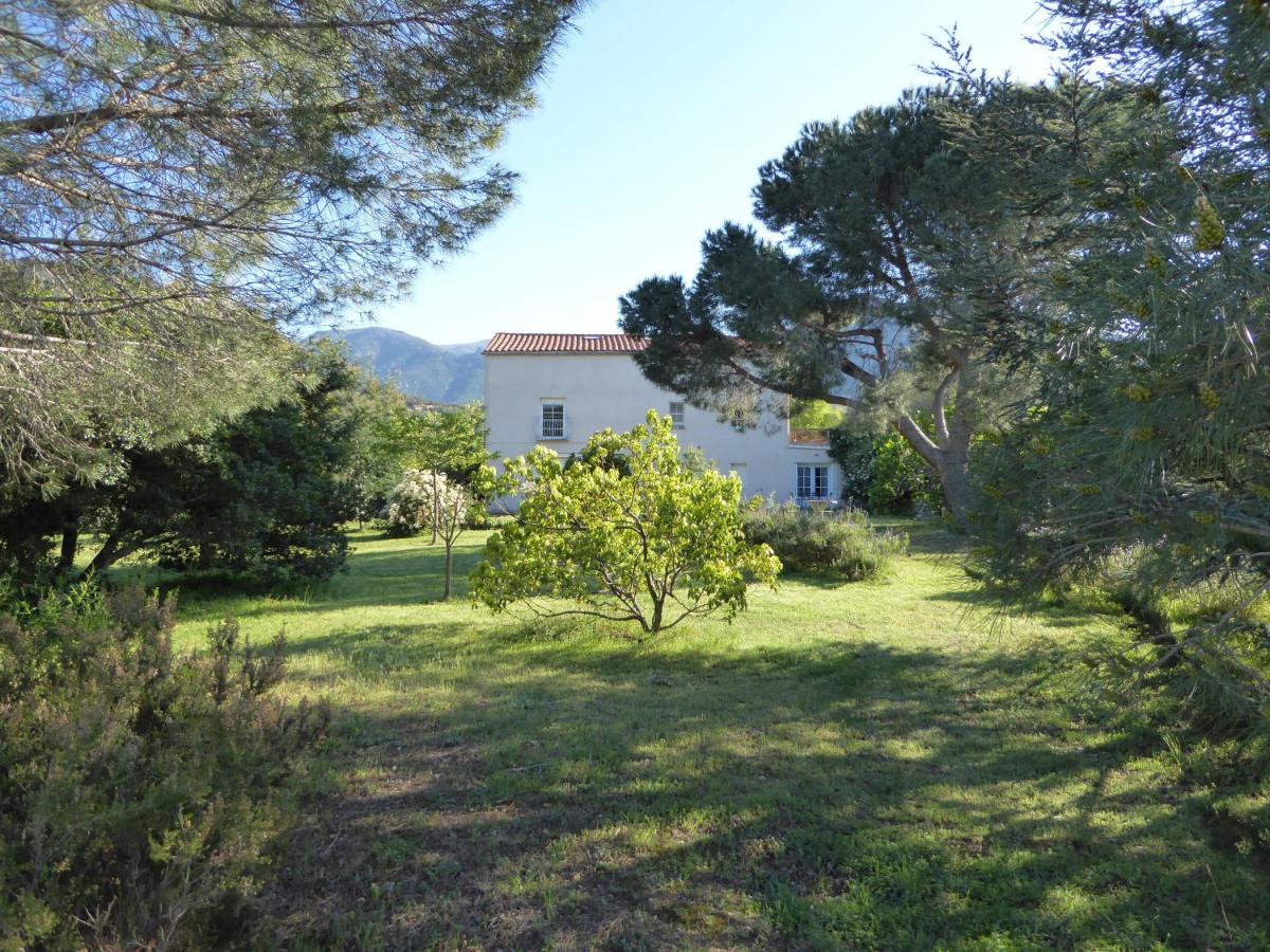 Mas Paret Gîte Massane - B&B