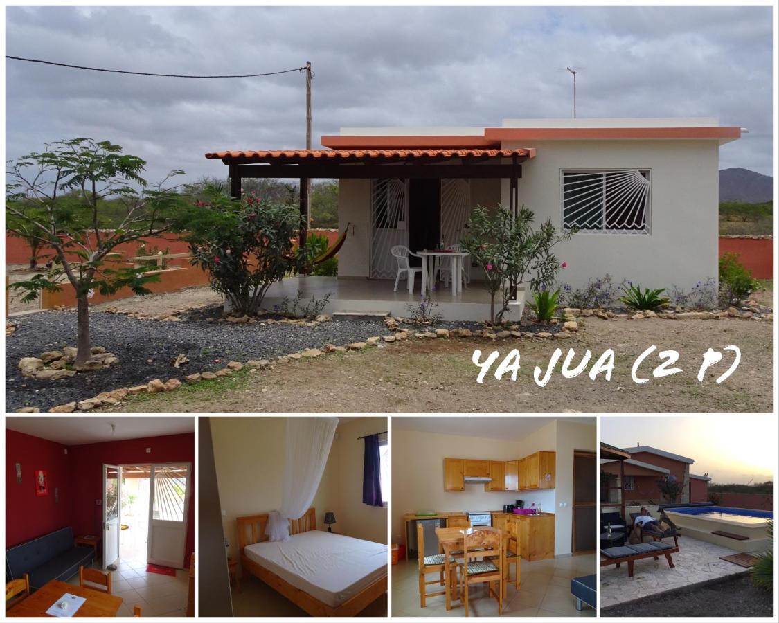 One-Bedroom House