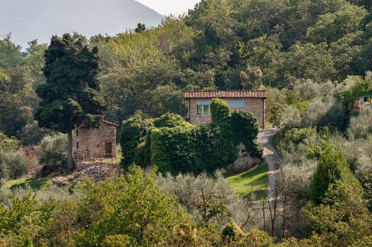 Tenuta San Giovanni Lucca - Borgo Ai Rovai - B&B